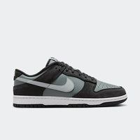 Nike Dunk Low Black Light Smoke Grey