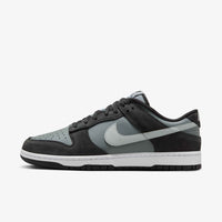 Nike Dunk Low Black Light Smoke Grey